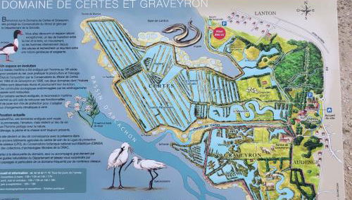 Sur le bassin d'Arcachon - Photo 5