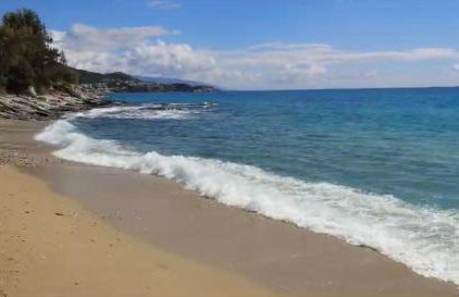 Olivia -Ελιά - Foto 40