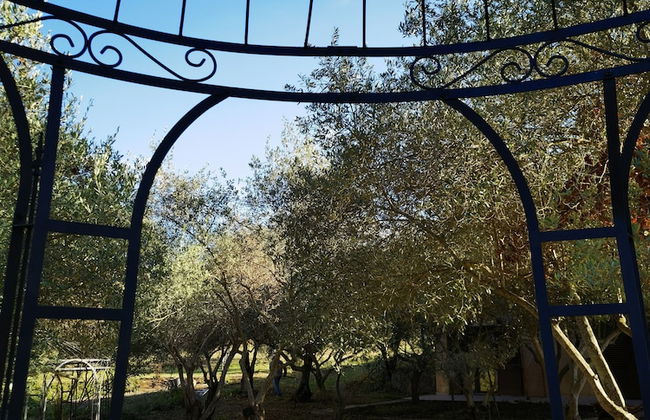 la corte degli ulivi - Foto 74