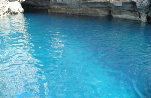 Apartmani Popović - Foto 47