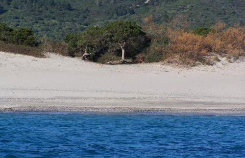 Nurazzolas - Foto 35