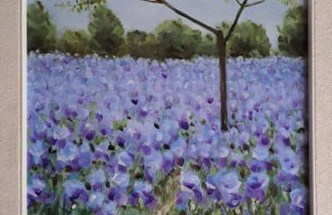 Ciasa Erica - Val di Non - Foto 52