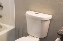 Paradise greenland - Foto 2