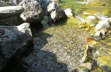 La Louronnaise - Photo 31