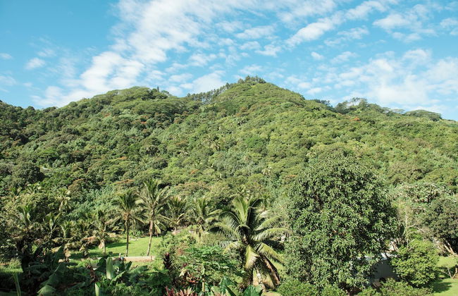 Avana Valley Heights - Photo 13