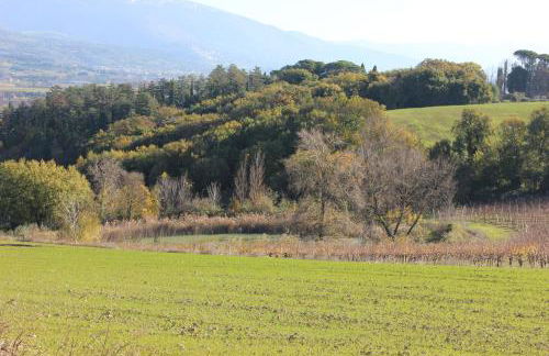 Agriturismo La Ginestrella - Foto 9