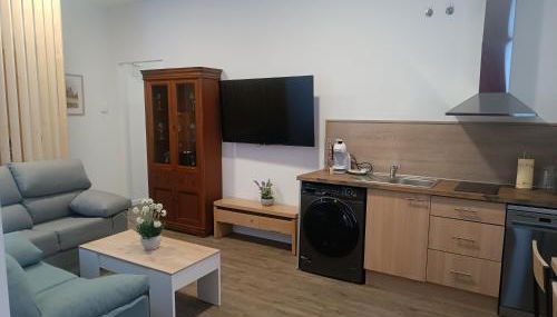 ApartamentosTuristicos Avila Puerta del Alcazar 0-1 - Foto 4