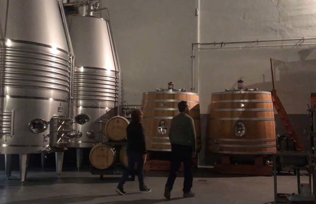 Bodegas Loli Casado Winery Tour - Foto 7