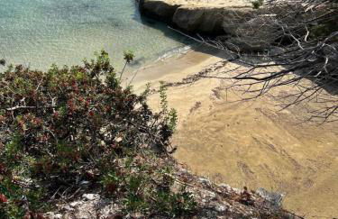 Kores Aegina - Foto 18