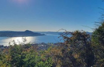 Vizz'House - Foto 14