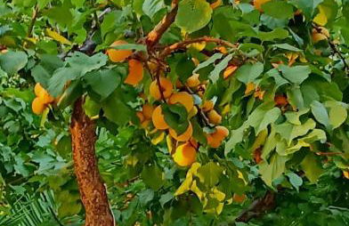 La casina di Alicia - Foto 41