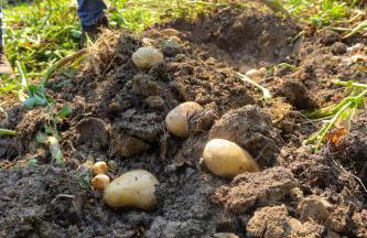 Agriturismo LA VECCHIA CASCINA - Foto 29