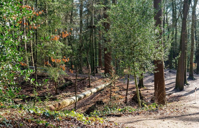 Tranquil Retreat in Appelscha - Foto 16