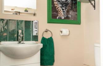 Jungle Lodge - Foto 17