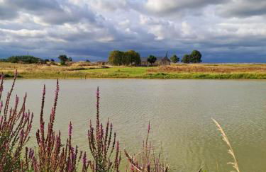 Grand Gîte en campagne avec étang - Photo 9