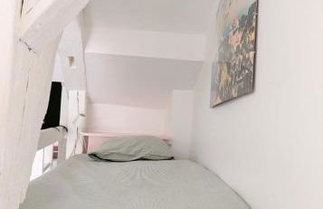 Charmant cocon sous les toits de Bordeaux - Foto 22