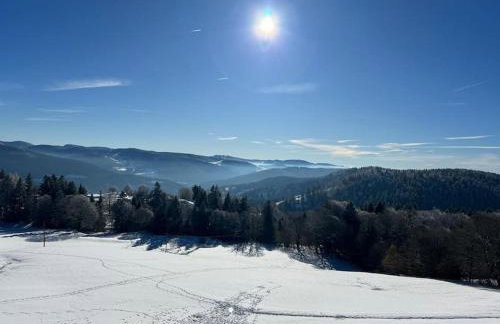 Les Hauts de la Piquante Pierre - Foto 34