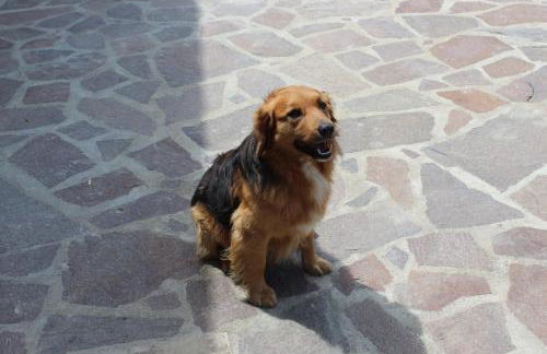 La Corte dei Banchetti - Foto 28