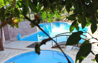 Orfeas Studios Molivos - Photo 65