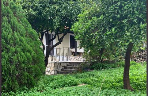 Aloni house - Foto 18