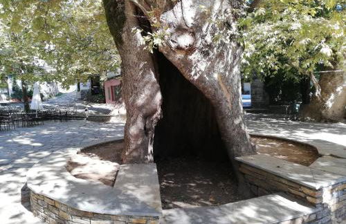 Guest House Pafili - Foto 53