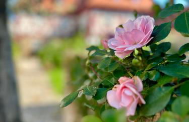 Cosy historic brewery with beautiful outdoor space - Foto 55