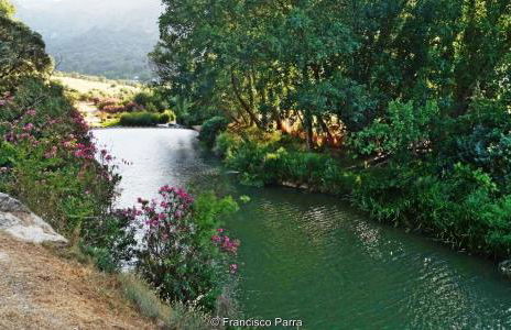 Casa Rural El Nacimiento - Photo 50