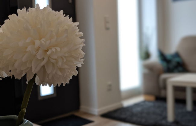 Business Apartments Ratingen 5 - Foto 1