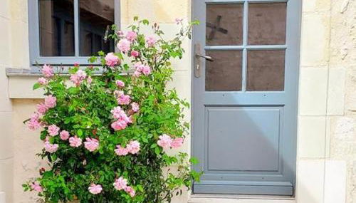 Gîte de charme avec jardin au cœur des châteaux, WiFi, parking inclus - FR-1-381-543 - Foto 5