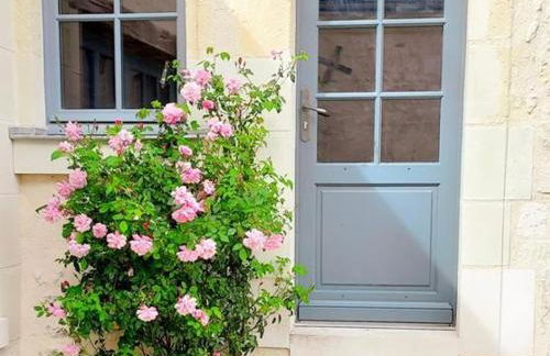 Gîte de charme avec jardin au cœur des châteaux, WiFi, parking inclus - FR-1-381-543 - Foto 5