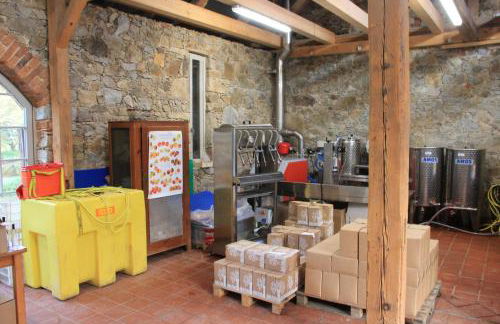 Apfelscheune Cannewitz - Foto 74