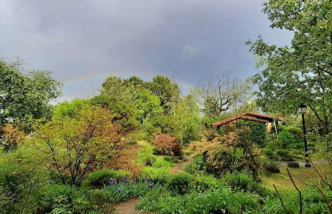 Apartamentos El Roble - Photo 19