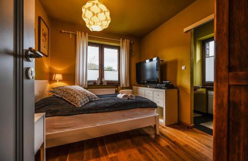 Sokołówka - Foto 9