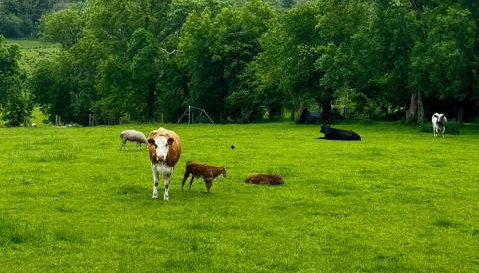 Sidhe Stays Ballycastle - Foto 5