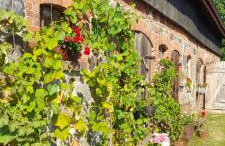 Ostoja Kamionki - Foto 11