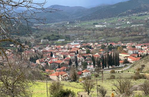 Ski Suites - Family Maisonette Kalavryta - Photo 38