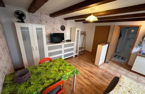 Ruhiges Wohlfühlzimmer auf dem Pferdehof Gut Greppin - mit Kochnische, WLAN & kostenlosem Parken - Foto 3