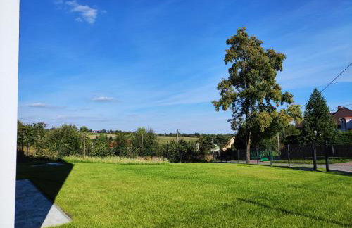 Trzy Małe Drzewka - Foto 52