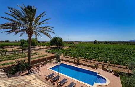 Vinyes Can Grau - Foto 14