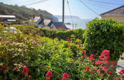 Morfan Tresaith - Foto 37