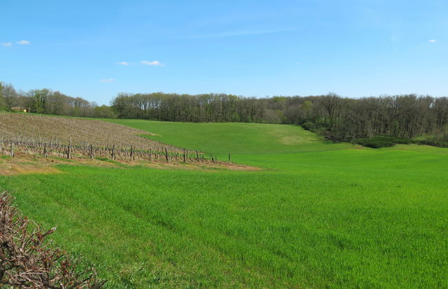 Le Mas de Serre - Foto 16