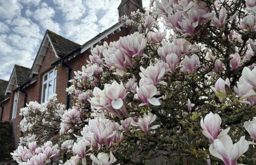 Farmhouse in the heart of the New Forest - Foto 8
