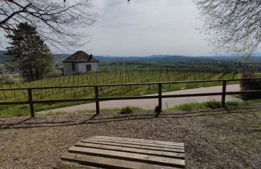 FeWo Sulzbachtal, Nähe Europa-Park, Rulantica, Schwarzwald, Feldberg - Foto 30