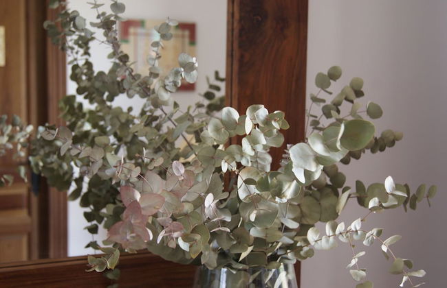 Finca El Romeral - Foto 5