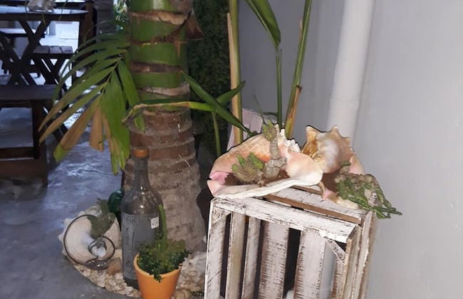 Studios Siena Av CTM, colonia Zazil Ha - Foto 4