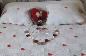 Appart'Hôtel Les Rochers - Foto 53