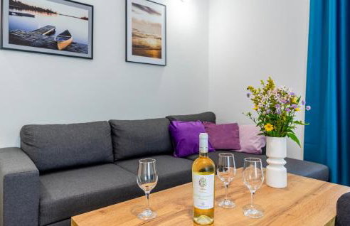 Lovely Home In Zlobin With Sauna - Foto 24