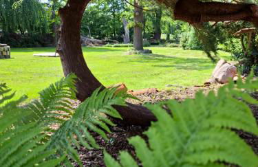 Mutti 's Landhof - Foto 39