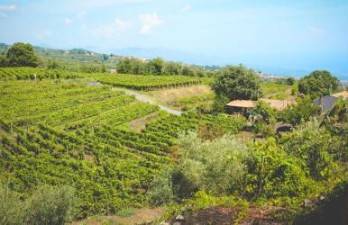 Le Case Del Merlo Turismo Rurale - Foto 13