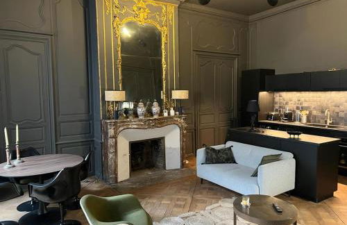 Luxueux 2 pièces 65m2 Hôtel Particulier XVII ième siècle-Centre Historique Clermont-Ferrand - Foto 7